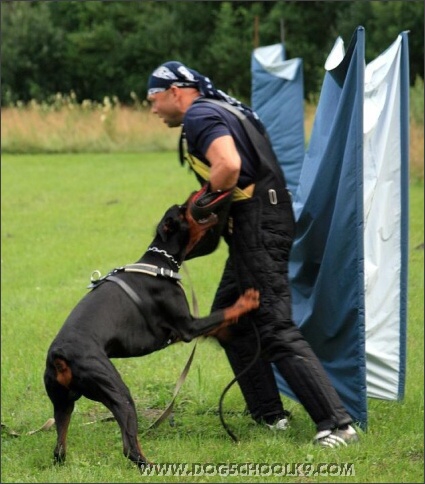 Summer training camp in Estonia 2007